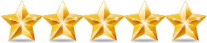five-star-client